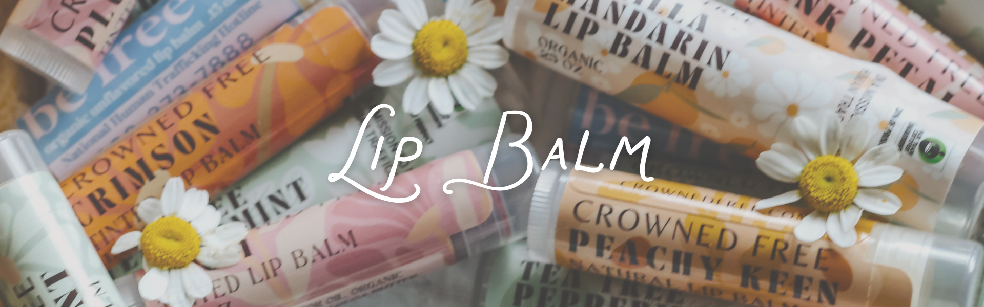 Lip Balm