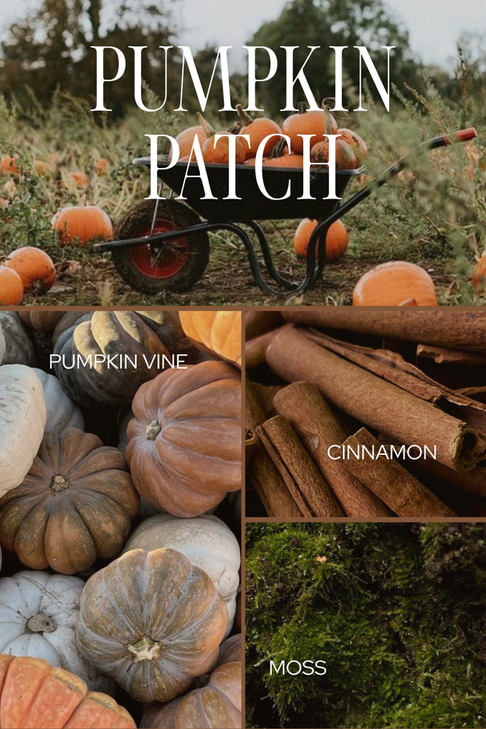 Pumpkin Patch Candle - Amber Glass