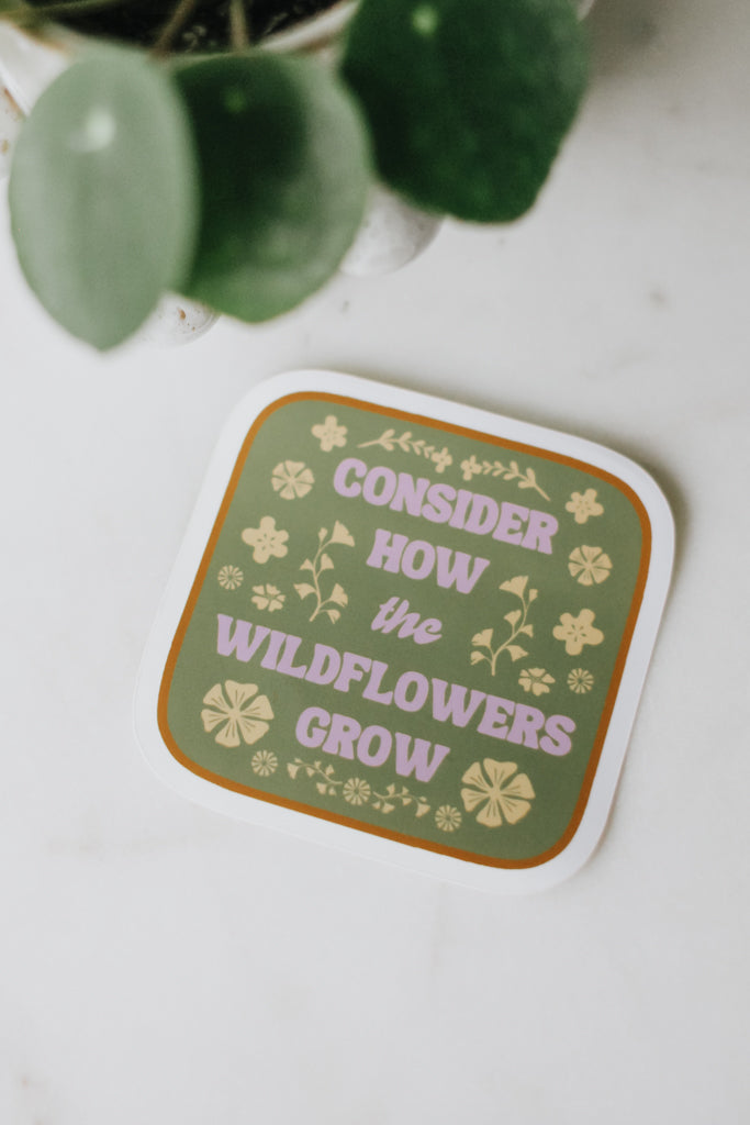 Consider How the Wildflowers Grow