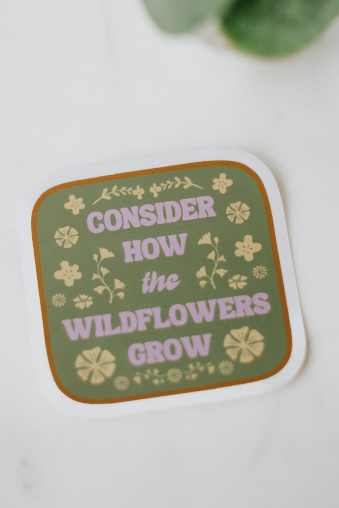 Consider How the Wildflowers Grow