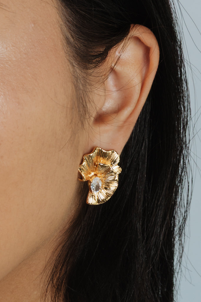 Amazement Earrings