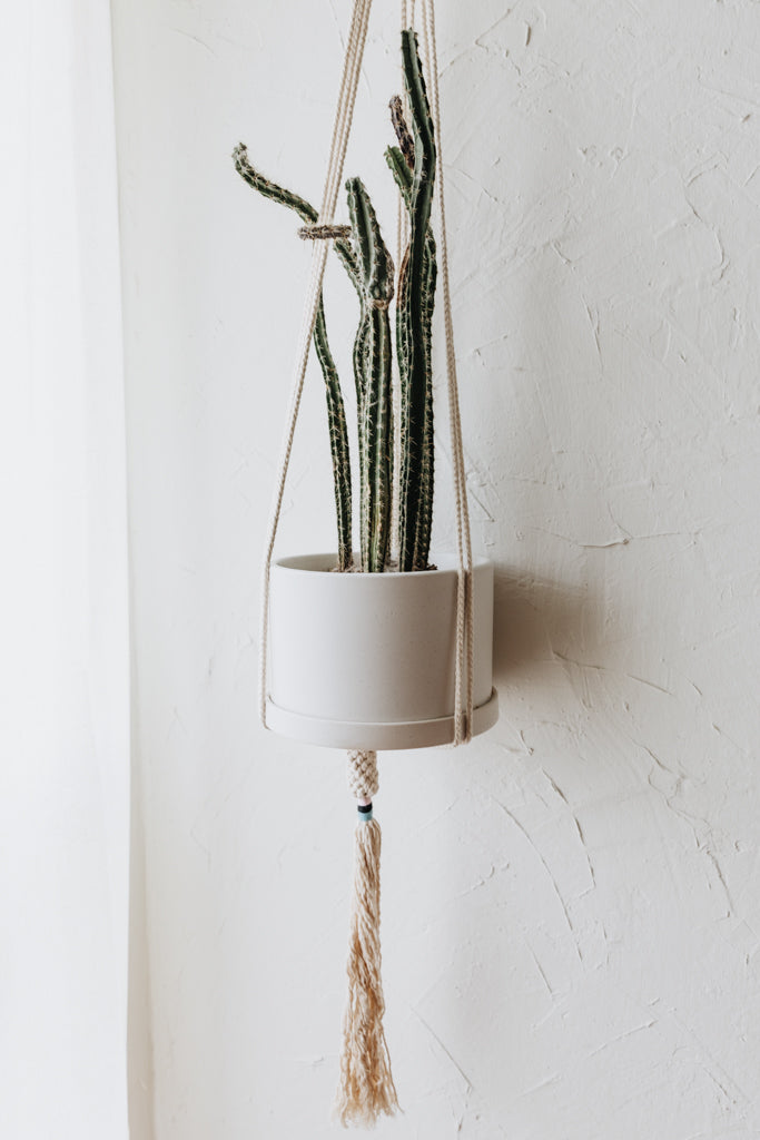 Good Fruit Macrame Plant Hanger