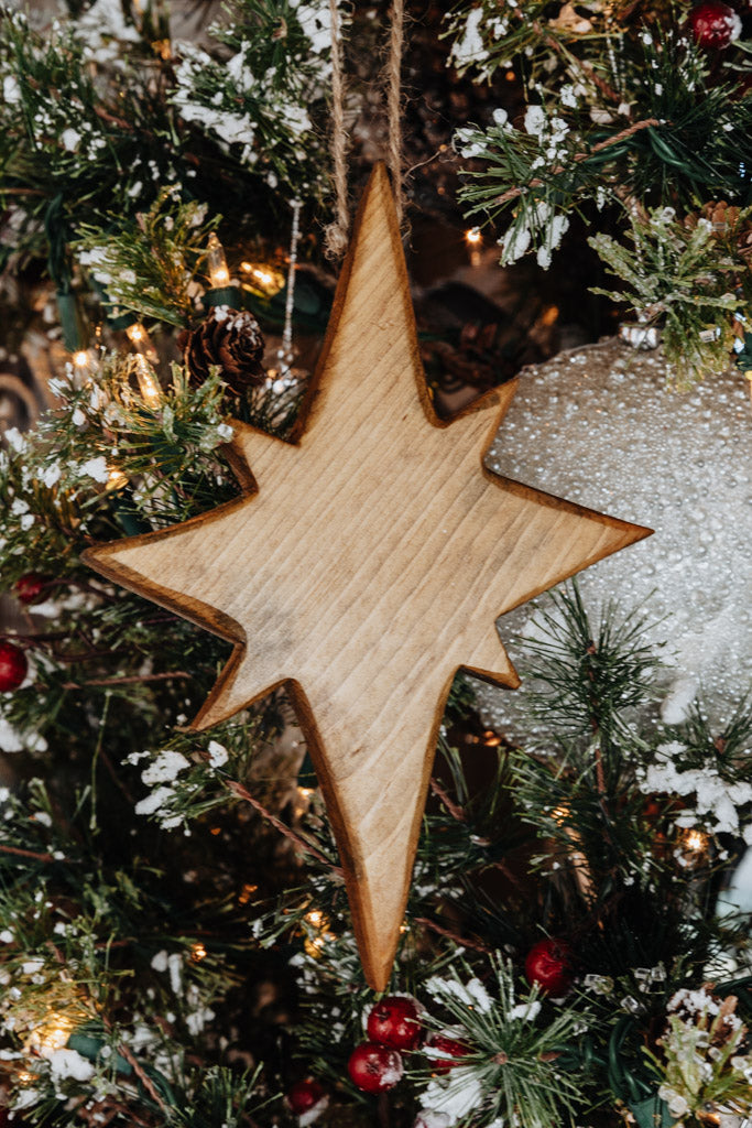 Aster Star Ornament